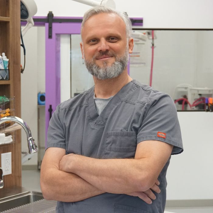 Dr. Nenad Paunovic